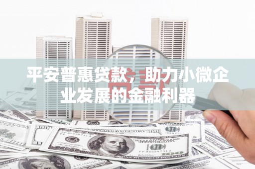 广宗平安普惠贷款，助力小微企业发展的金融利器