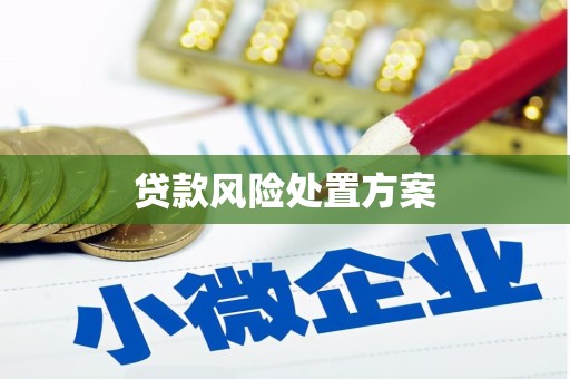 广宗贷款风险处置方案