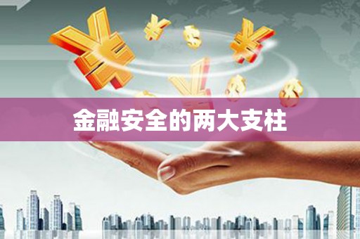 广宗金融安全的两大支柱