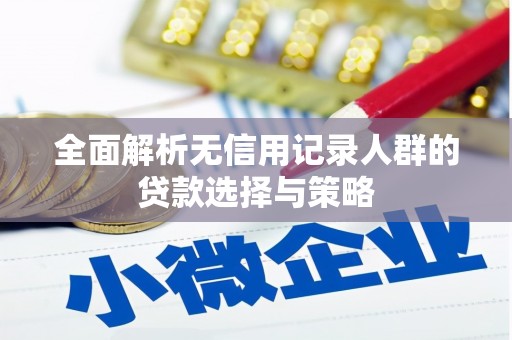 广宗全面解析无信用记录人群的贷款选择与策略