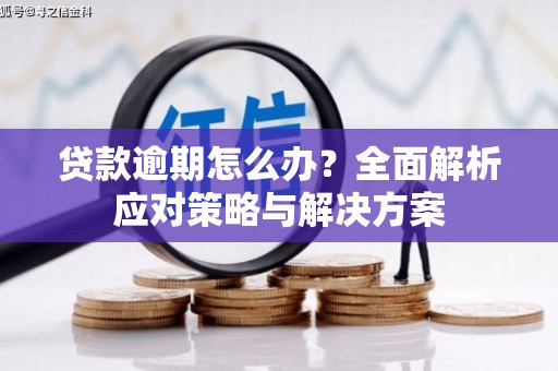 广宗贷款逾期怎么办？全面解析应对策略与解决方案