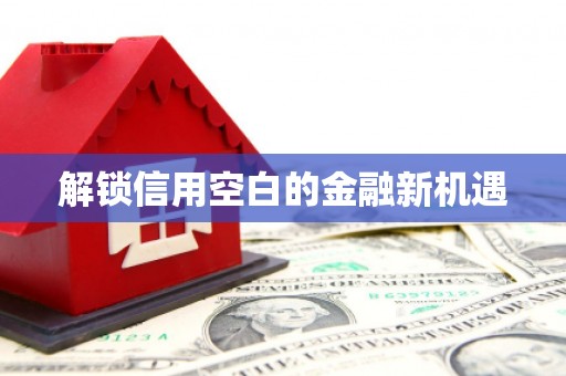 广宗解锁信用空白的金融新机遇