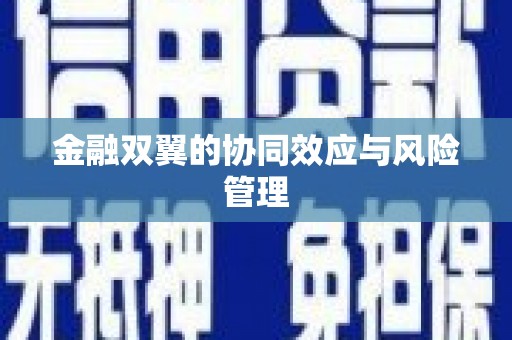广宗金融双翼的协同效应与风险管理