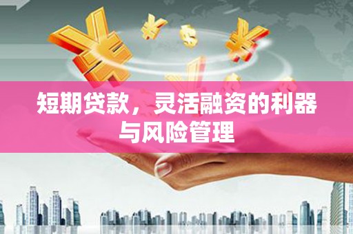 广宗短期贷款，灵活融资的利器与风险管理