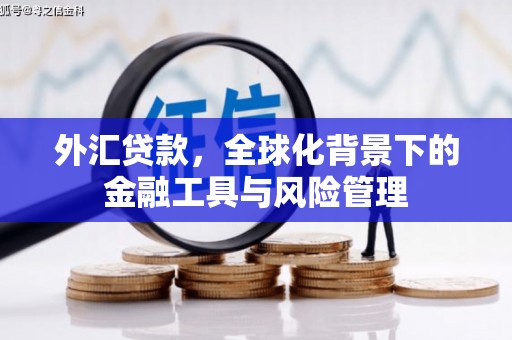 广宗外汇贷款，全球化背景下的金融工具与风险管理