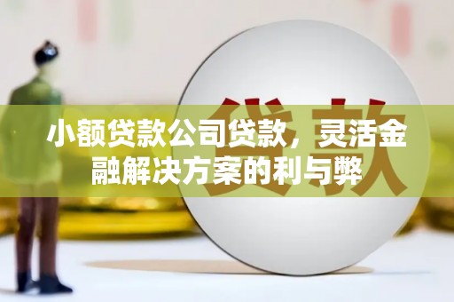 广宗小额贷款公司贷款，灵活金融解决方案的利与弊