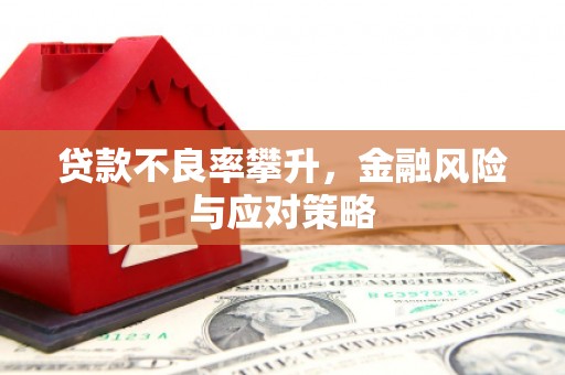 广宗贷款不良率攀升，金融风险与应对策略